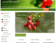 Tablet Screenshot of boutique.petitsfruits.com